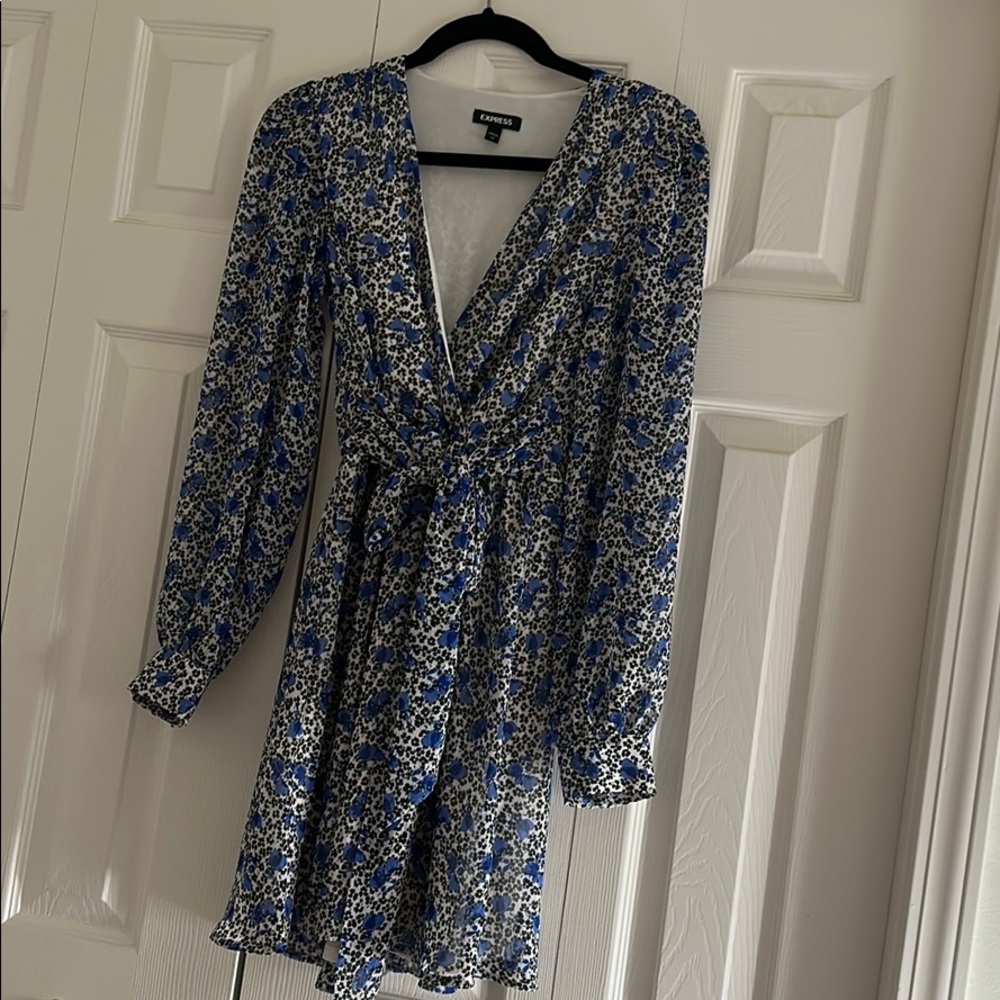 Express Floral Dress